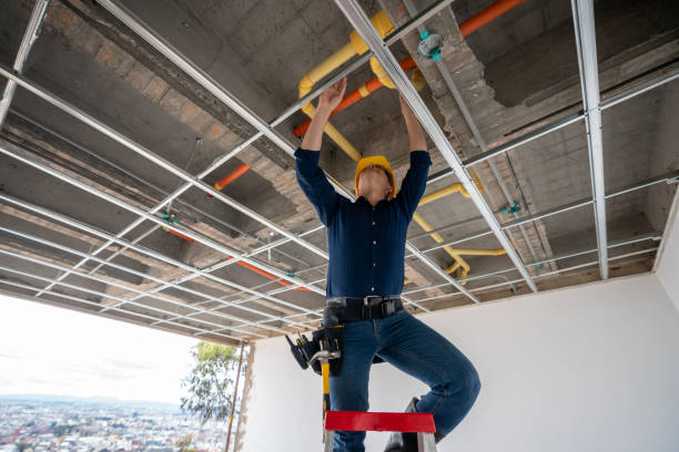 Best Emergency Plumber  in Highland Park, MI