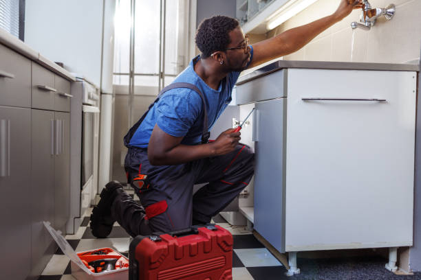 Best Affordable Plumbing Services  in Highland Park, MI